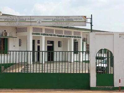 Chambre de l'agriculture yaoundé