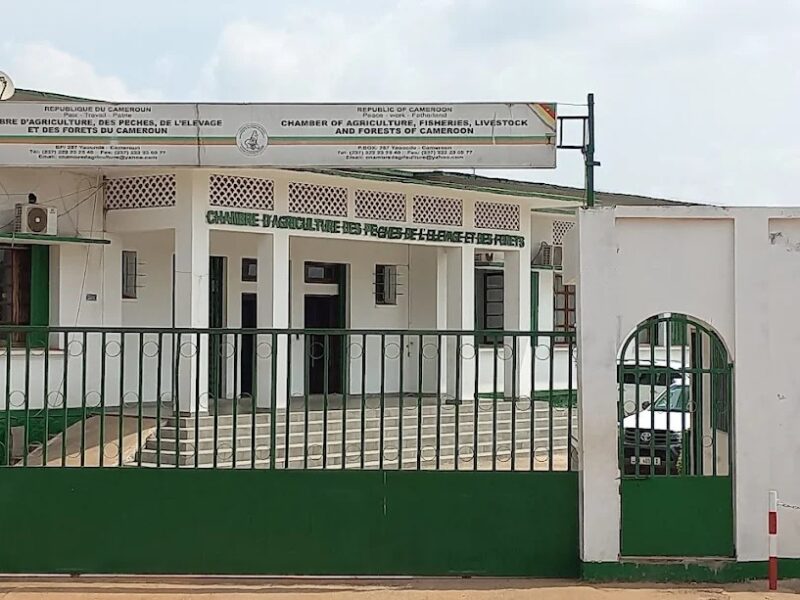 Chambre de l'agriculture yaoundé