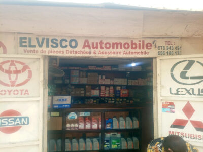 Elvisco Automobile